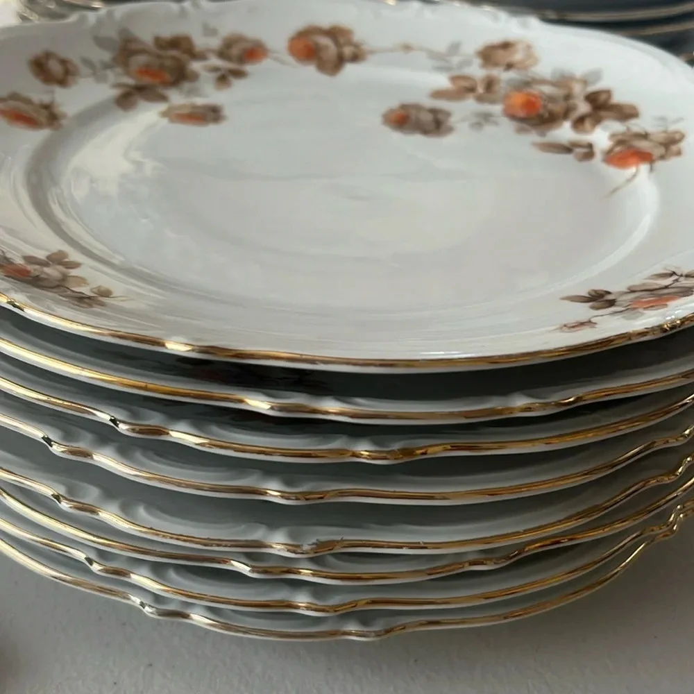 Vintage Bundle of 8 pcs Dinner plates Norway Rose by MITTERTEICH